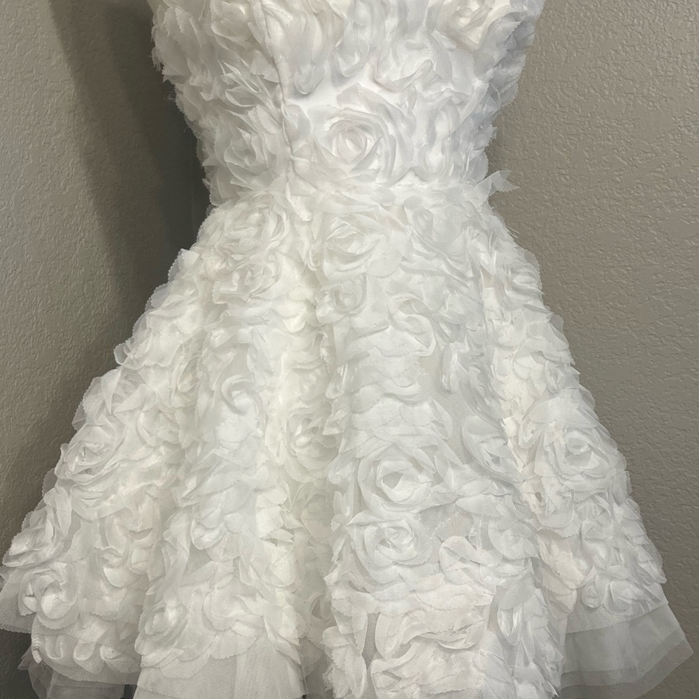Windsor Ivory Rose Appliqué Dress